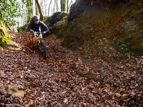 Surfing the Leaves