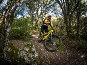 Eñaut mountain bike guide