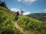 Backcountry Basque Mountain Bike Tour