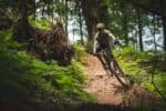 Backcountry Basque Mountain Bike Tour