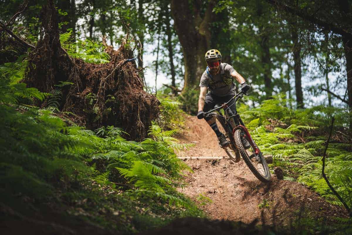 Backcountry Basque Mountain Bike Tour