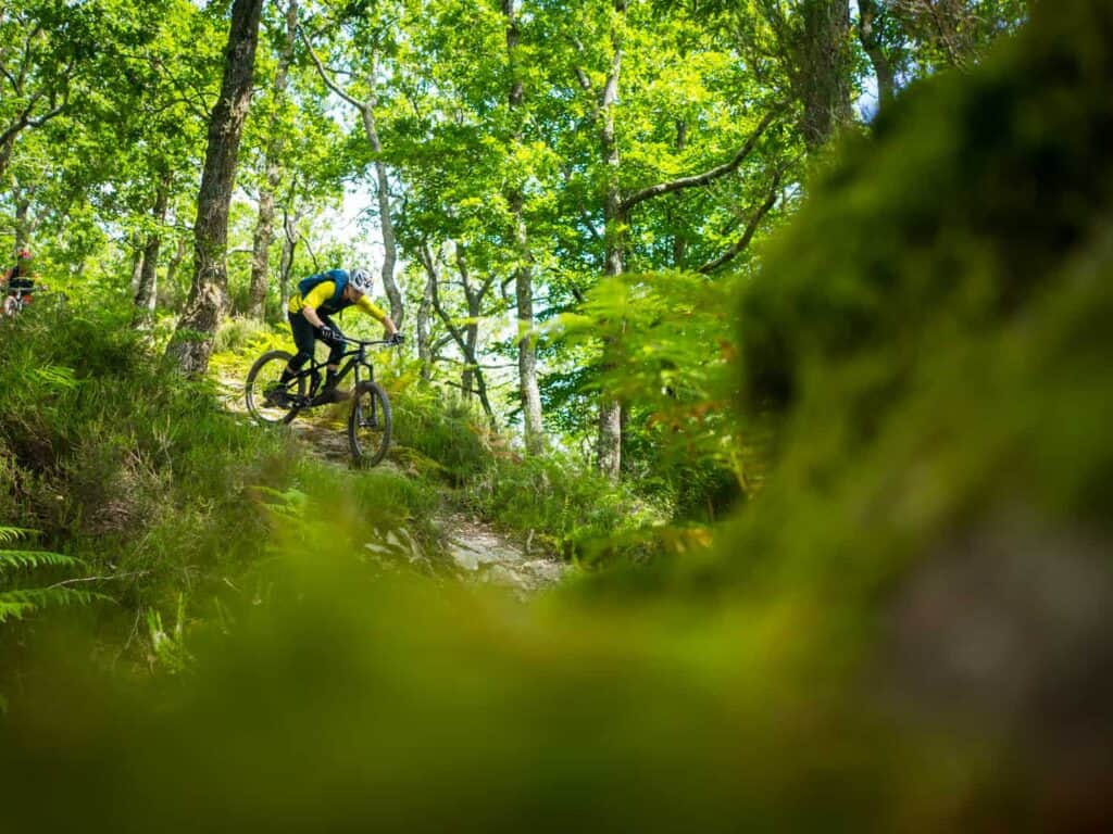 Basque Mountain Bike Tour