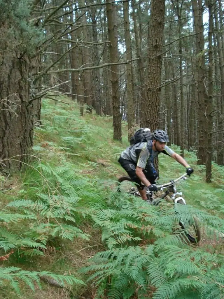 Great Rock Mountain Bike Skills Holiday