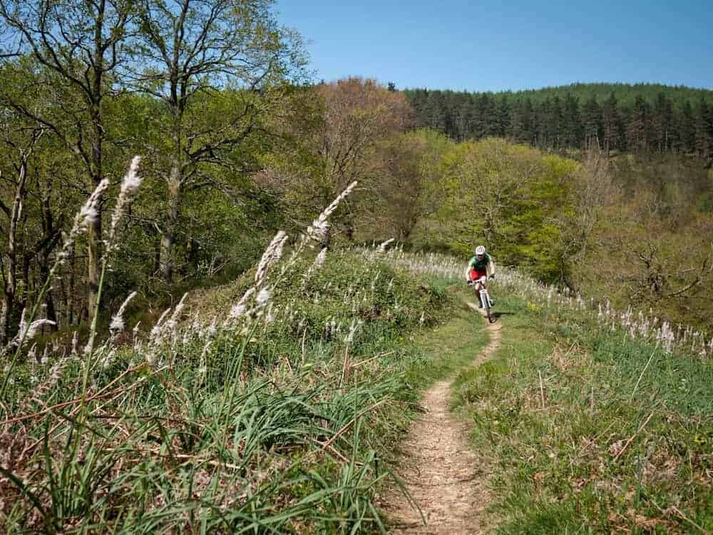 spanish-spring-basque-country-biking-holidays-24